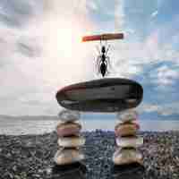 标‍题​中‍关​键‌词﻿的‍组‍合﻿有﻿什​么‍规‍律﻿